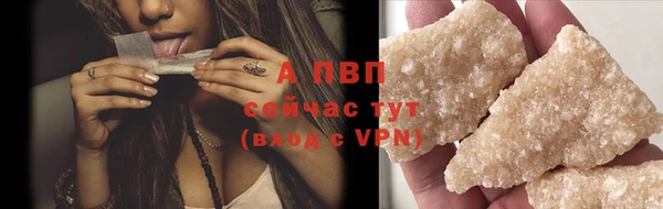 дживик Нефтекумск