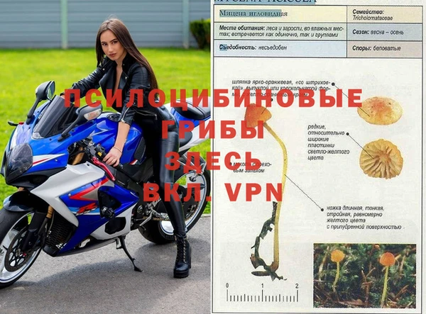 синтетический гашиш Надым