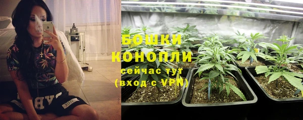 метадон Новозыбков