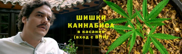 метадон Новозыбков